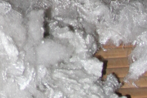 ˲Ϸչʷ